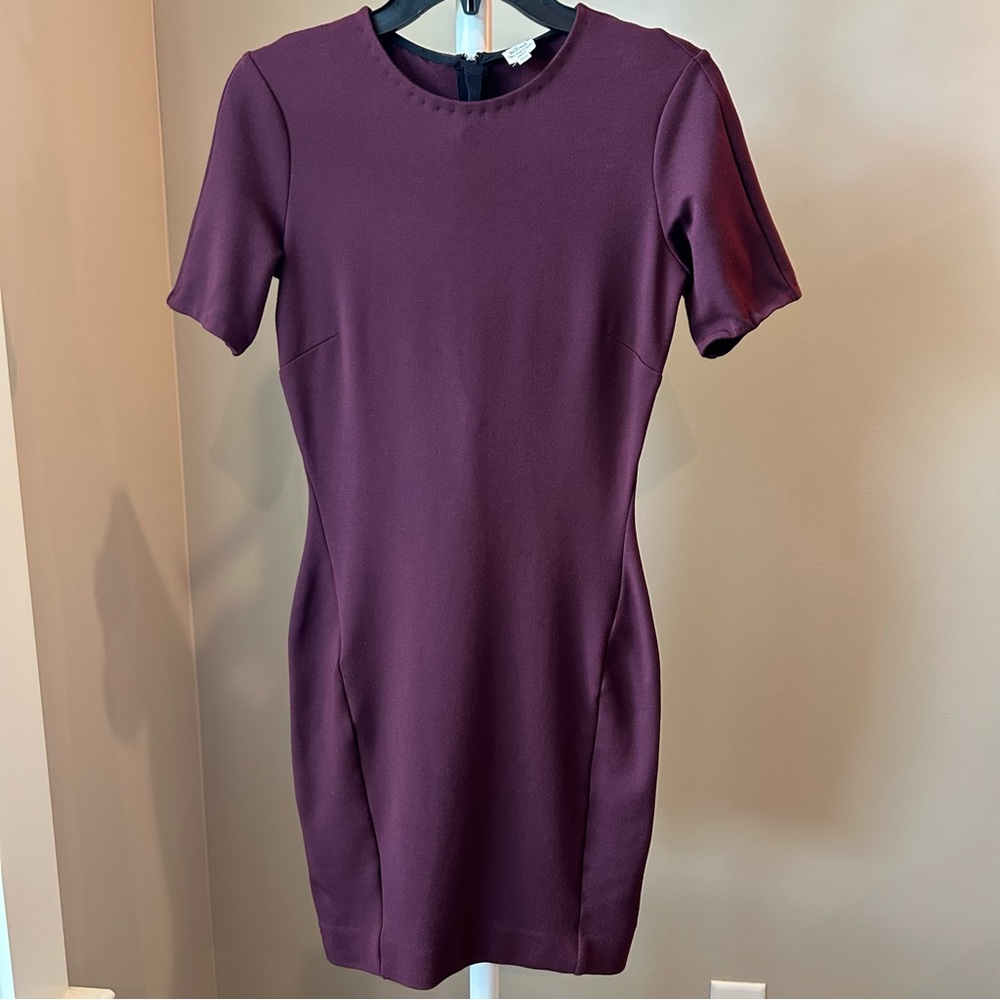 Wilfred Mignonne Mini Short Sleeve Dress Burgundy Small